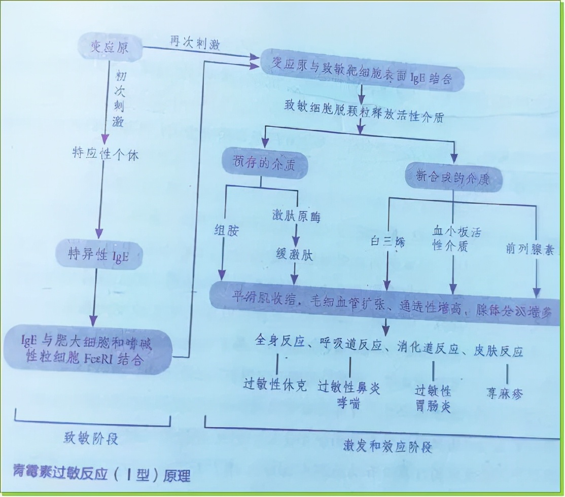 药物过敏的说说,关于药物过敏检测