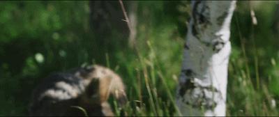 豆瓣9.3分这对夫妻打造1200亩生态农场，“堪称美版「李子柒」”