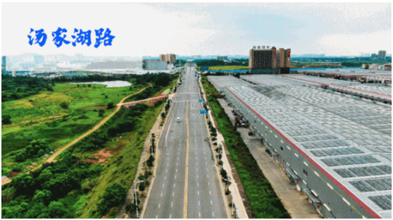 骏马追风启征程-奔跑中的望城城投