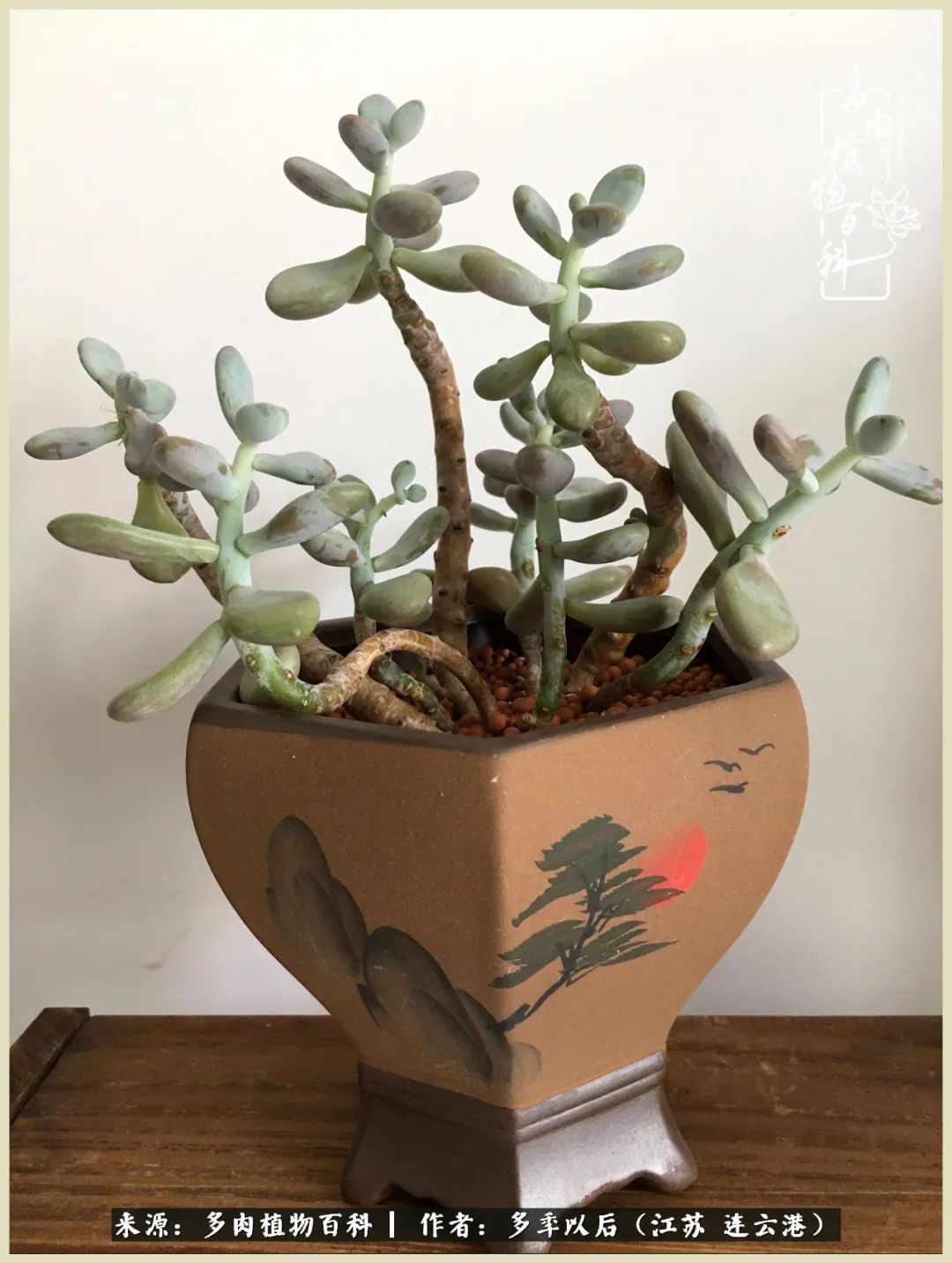 多去花前谈以后，少来月下忆当年