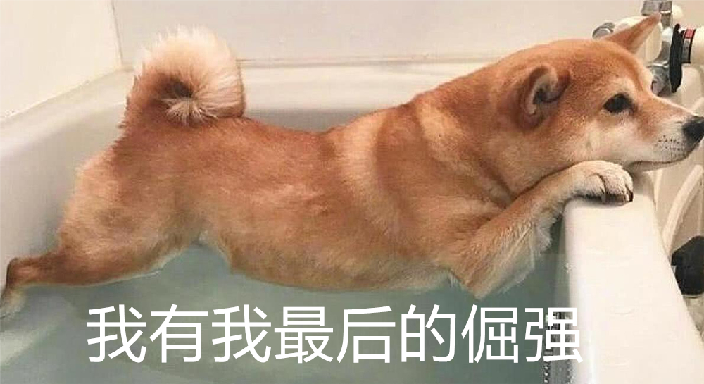 狗子洗澡的正确方法,去宠物店给狗洗澡注意什么