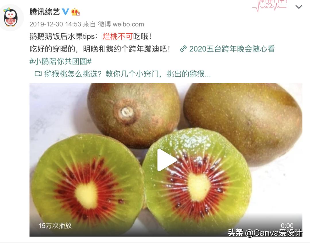 最新野生文案大全,看野生动物发的文案