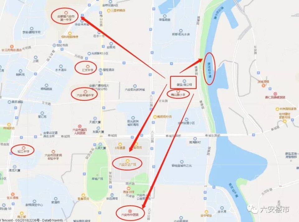 六安房价最贵的房子,六安十大最贵二手房小区曝光