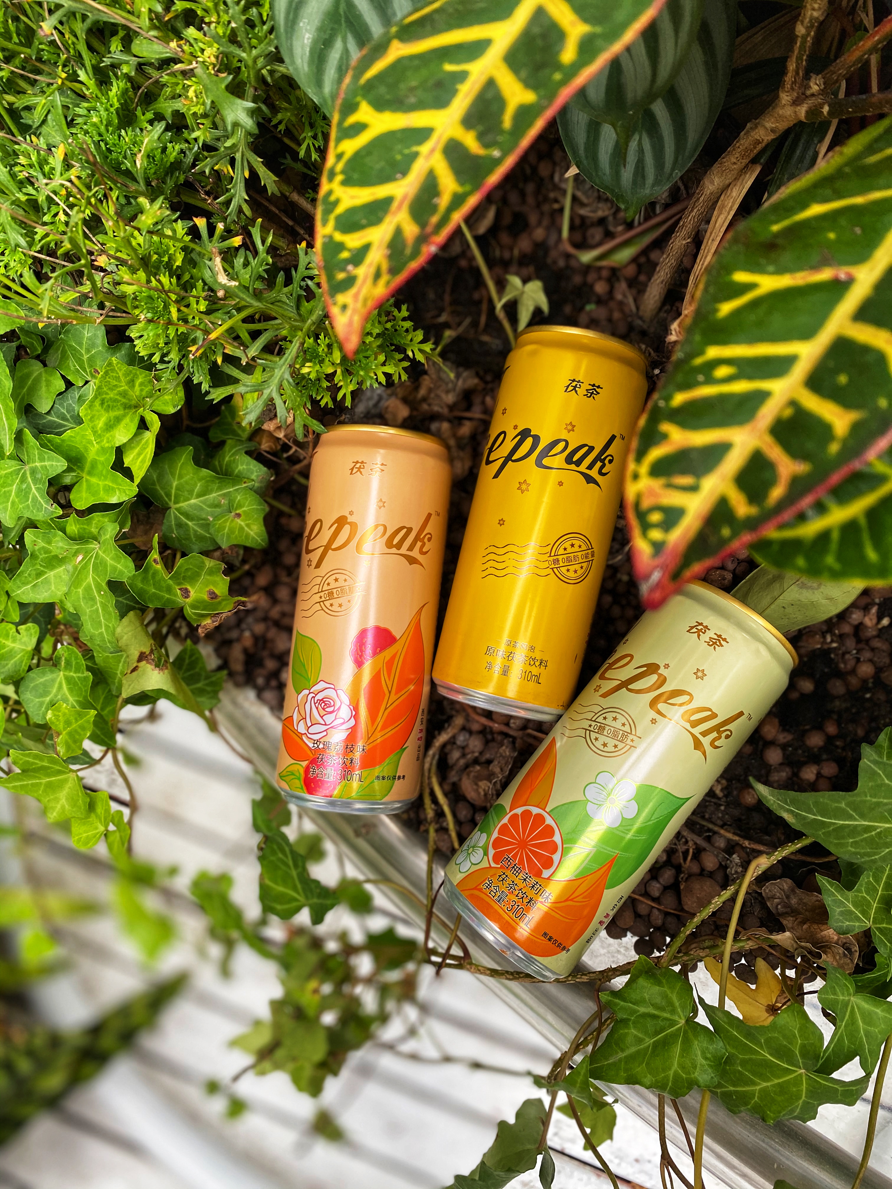 西安冰峰茯茶,冰峰茯茶