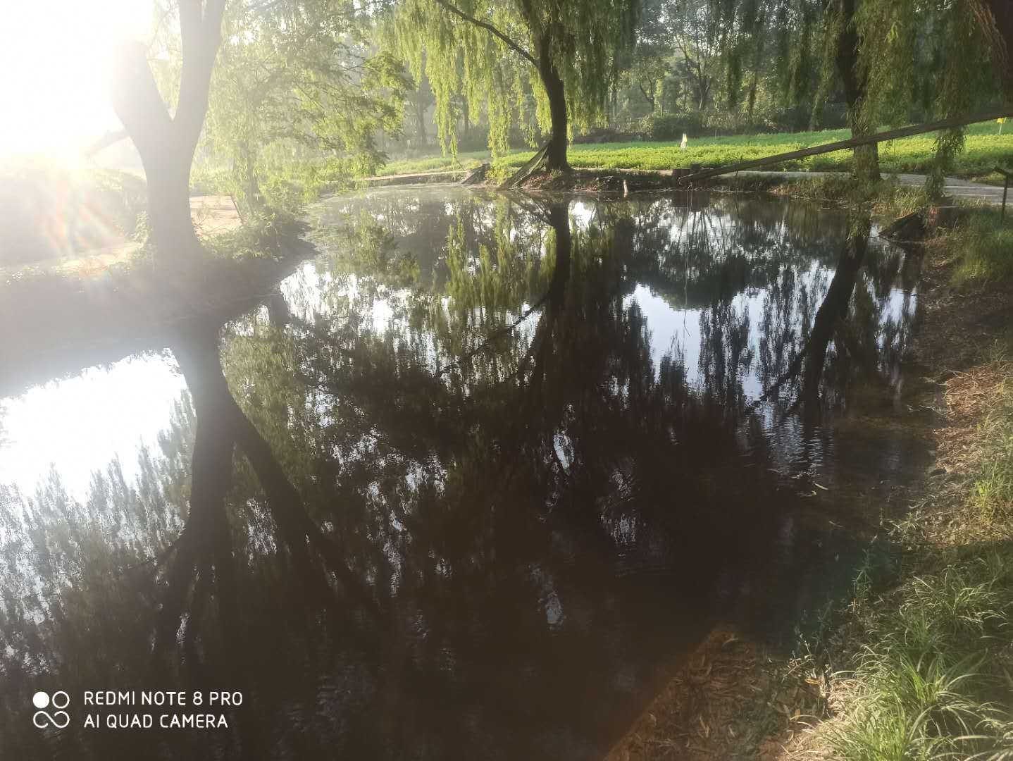 新大洲本田小战鹰125骑行视频,本田cbf125小战鹰