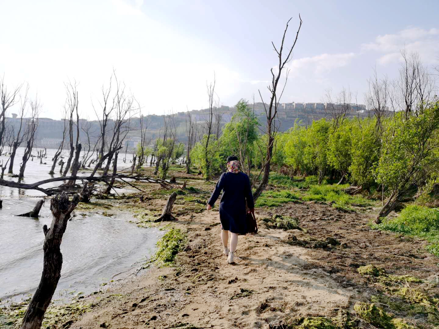 洱海值得去的地方,洱海真正值得去的地方