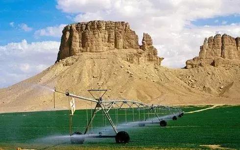 沙特最新处罚规定,沙特阿拉伯简介气候