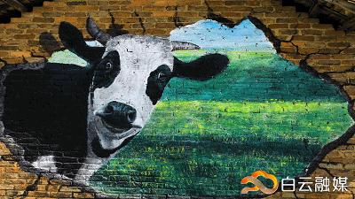 走在乡间小路观赏田园风光体验,看田园风景品乡间生活尝农家美食