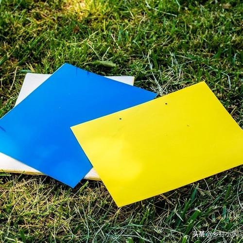 种植的辣椒烂果怎么办？做好以下9点，辣椒产量高、品质好