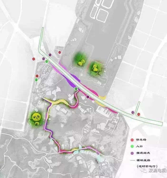 双流哪里可以赏花看飞机,双流附近赏花攻略路线