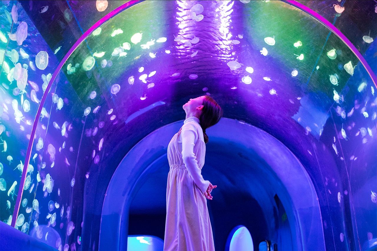 深圳最适合亲子游的好去处,深圳周末家庭游玩好去处