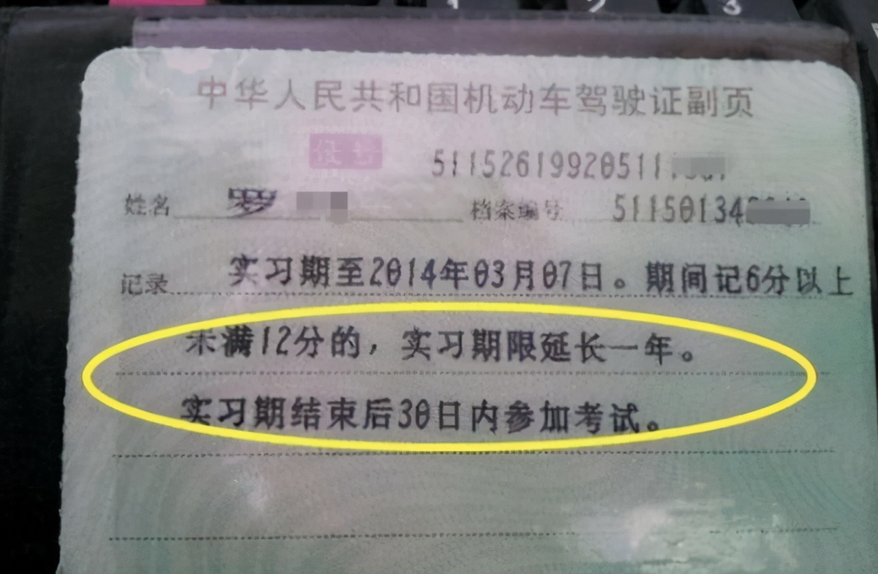 驾驶证期满换证副页怎么显示,驾驶证副页丢了影响换证吗