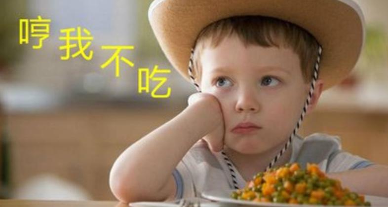 如果孩子只吃肉不吃蔬菜会怎样,孩子不爱吃肉也不吃蔬菜怎么办