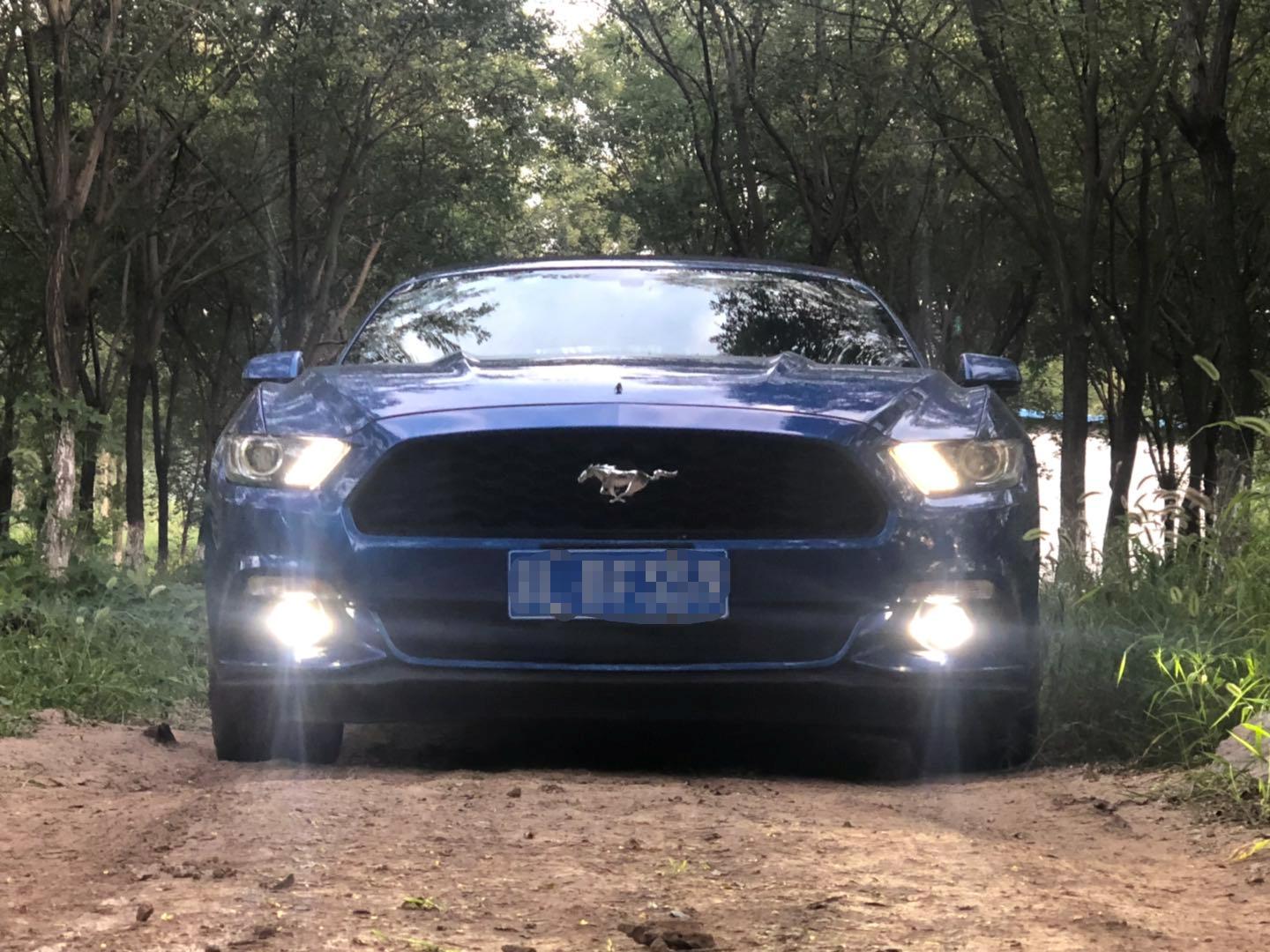 野马还是野驴,野马2.3t小野驴