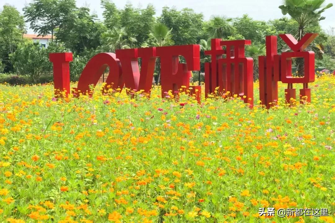 周末新都耍了一圈，朋友都以为我出了趟国