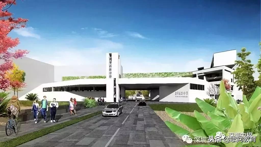 2021深圳中学排名一览表,龙华高级中学在深圳排名第几