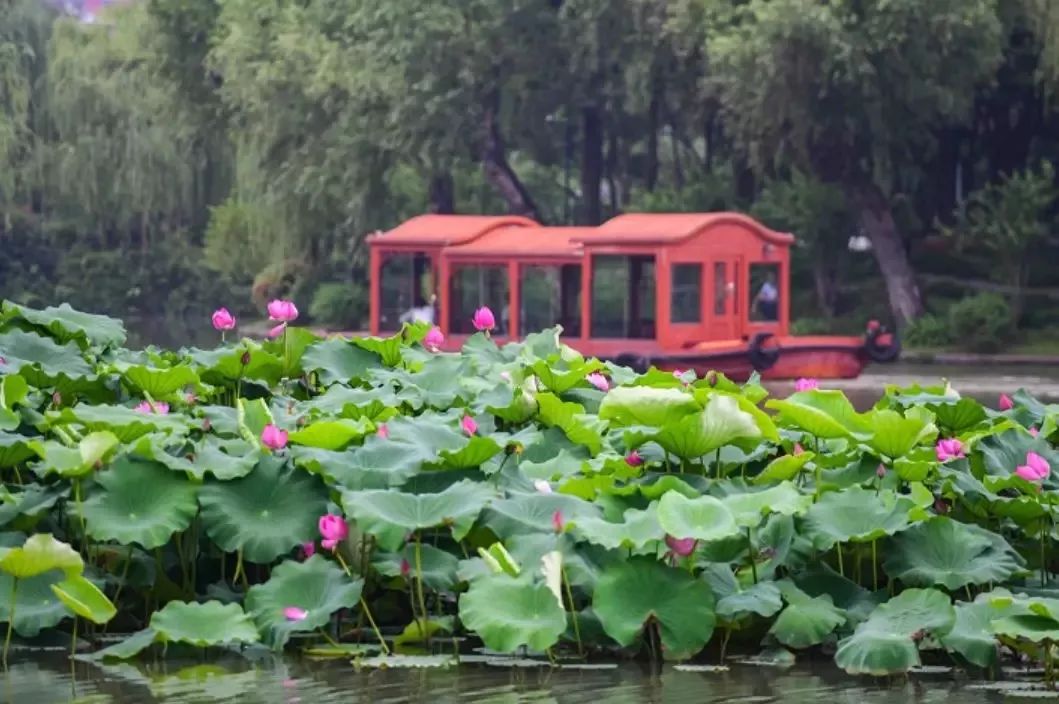 扬州生活很惬意,江苏扬州平安幸福