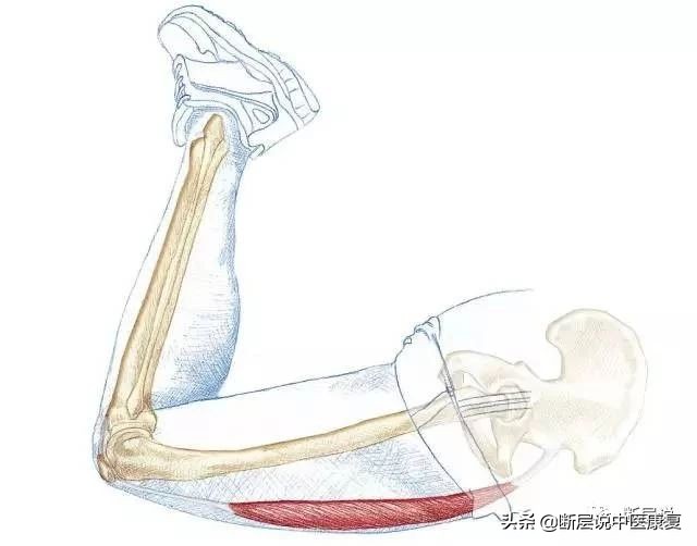 天气冷运动护膝推荐哪种,天气冷了保暖护膝