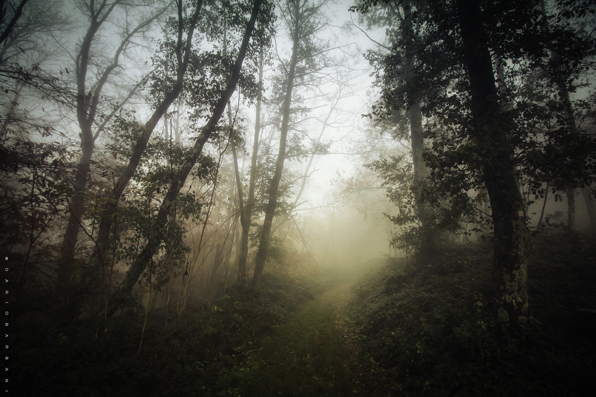 诺福克团266人进入浓雾后消失，四年后谜团揭开，山沟里成白骨