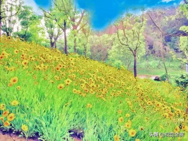 金寨是美丽的、有历史文化的，但这样的金寨你绝对没看过