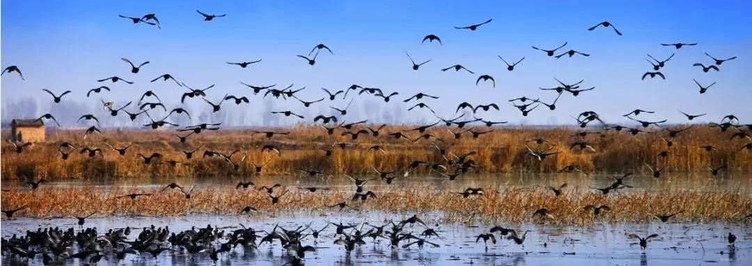 合阳周边一日游冬日,赏深秋风景入静谧之境