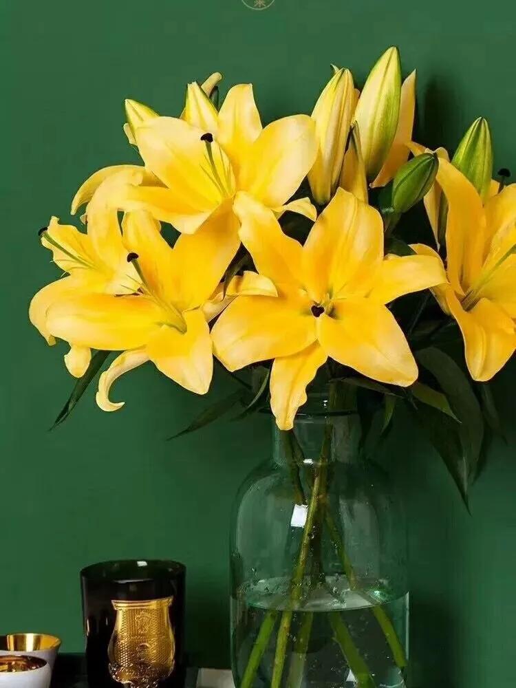 香水百合鲜切花云南鲜花基地,什么颜色的百合最好养活