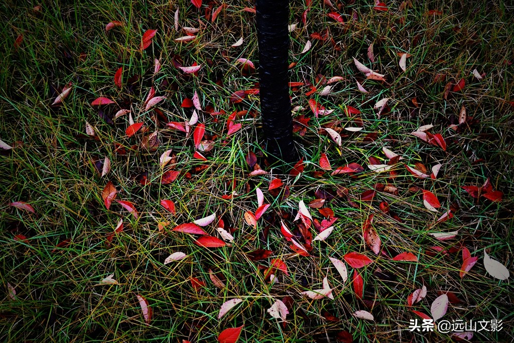 索尼黑卡二怎么拍,索尼黑卡2大光圈拍视频