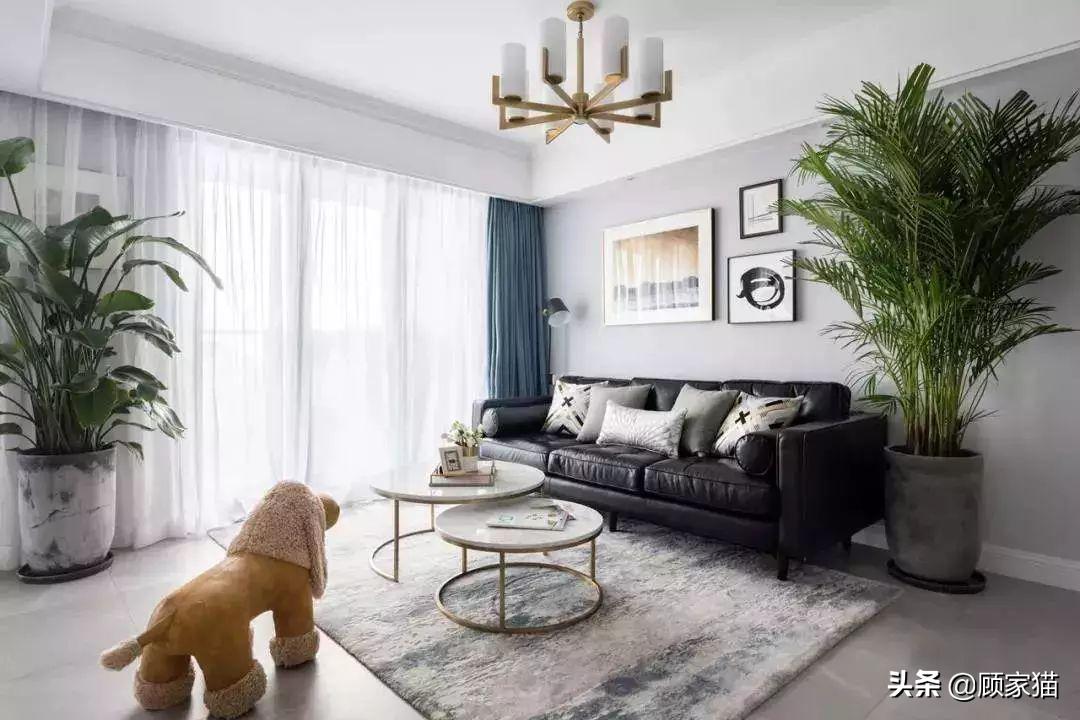 顾家猫,顾家猫家装平台