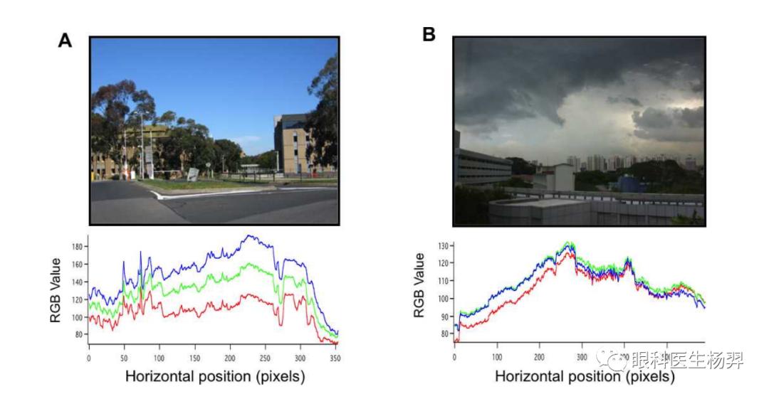 防范近视的户外活动,户外活动防控近视背后的秘密