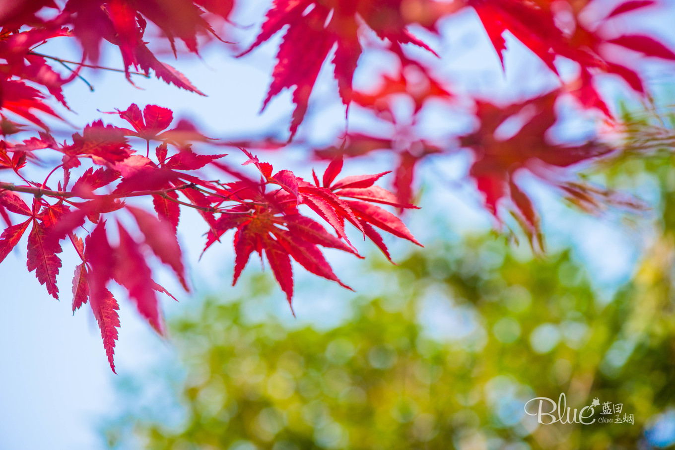 最有灵性的古佛寺,国内最美佛寺排行榜前十