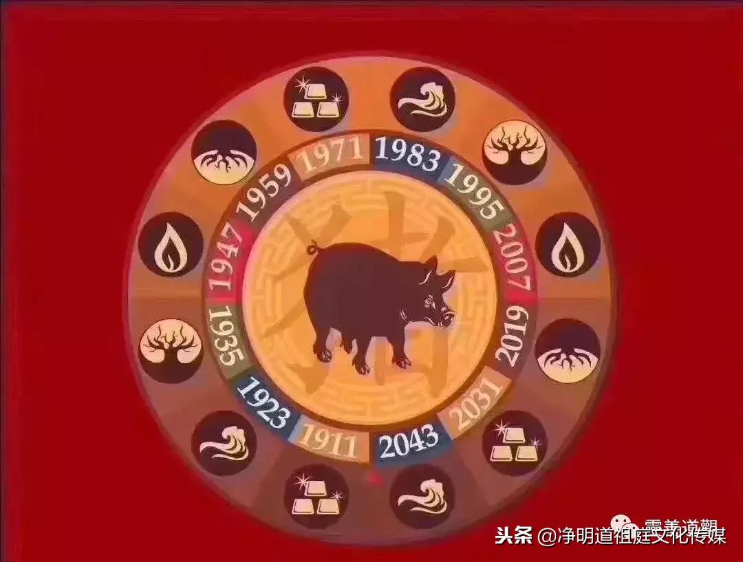 2019年己亥年太岁,猪年本命年怎么化解犯太岁