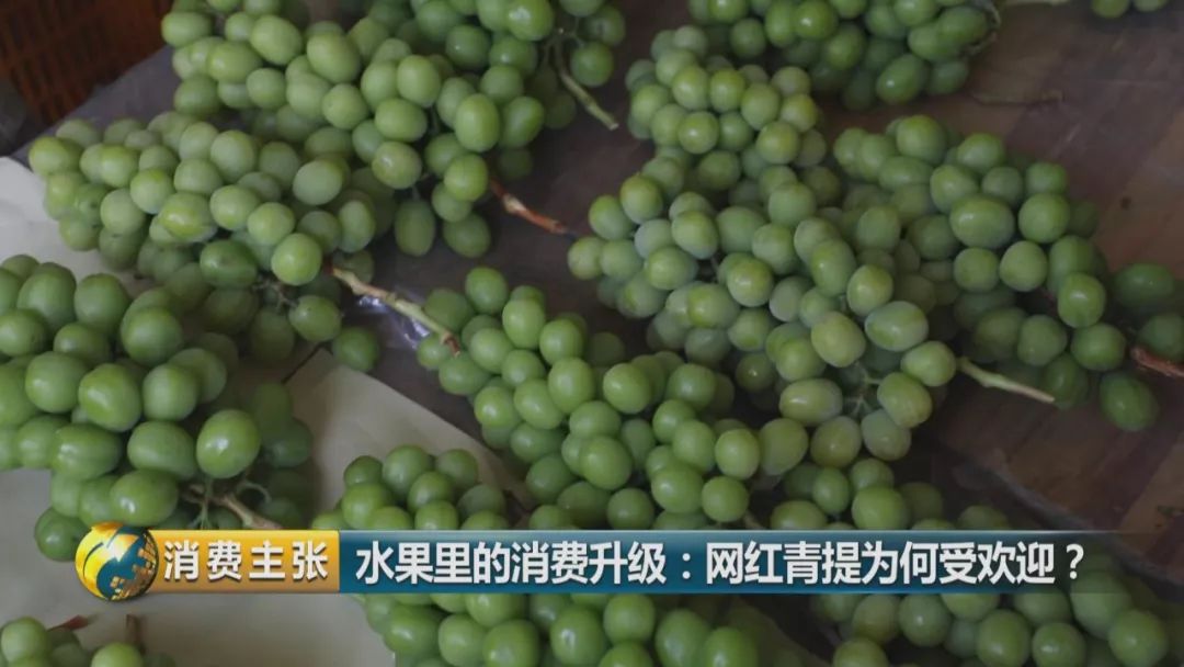 阳光玫瑰葡萄水果中爱马仕,阳光玫瑰葡萄有多贵