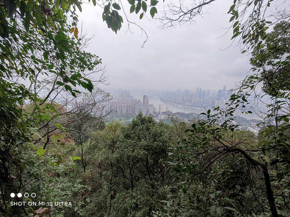 荣耀20prodxomark拍照排名,dxomark相机是什么