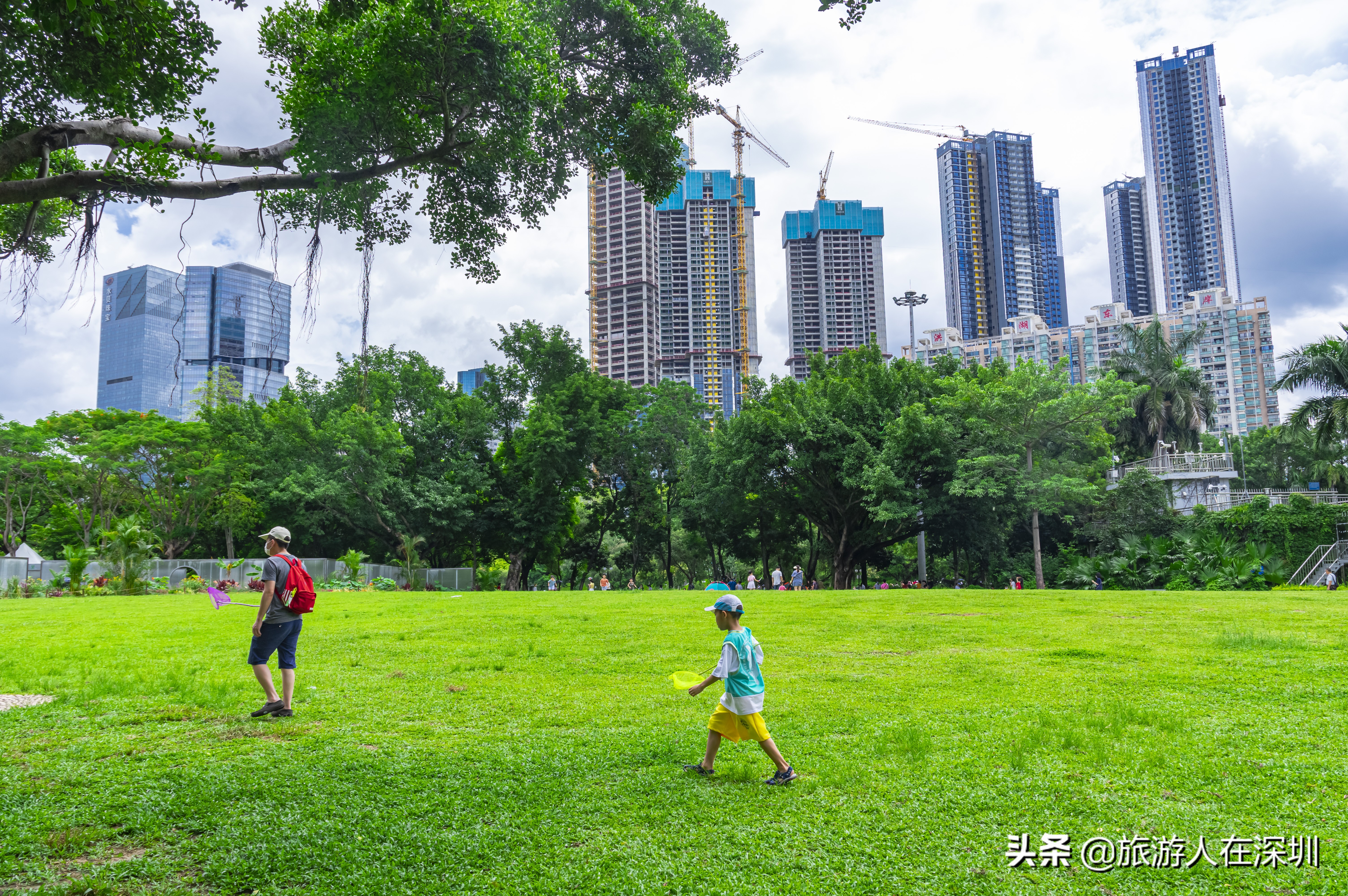 实拍深圳洪湖公园,深圳洪湖公园游玩攻略图