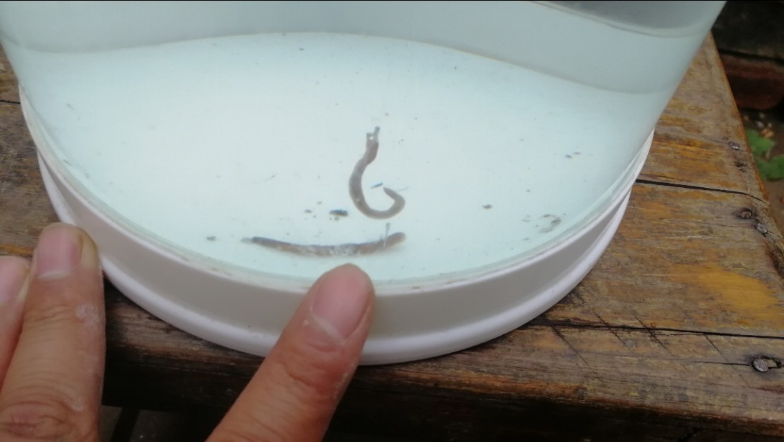 教你三招调漂技巧,如果你还不会排版怎么办