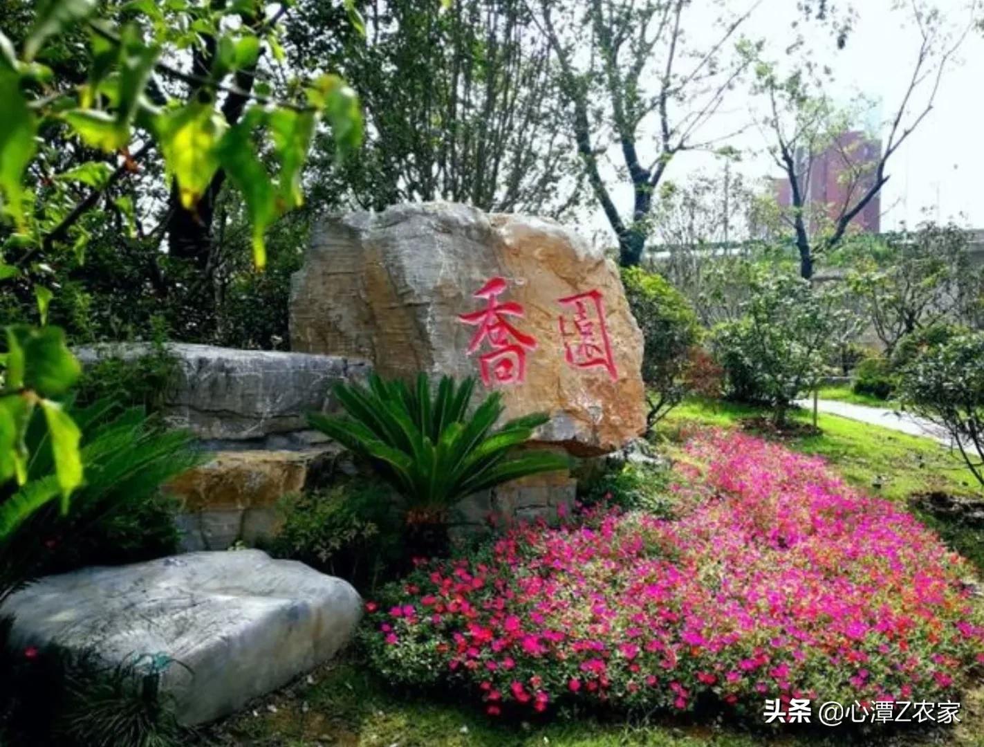 三分巢湖后，脱胎换骨的庐江