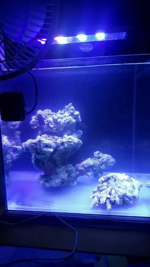 大学生1000元在宿舍开缸，还贴“禁止手碰”的标识，担忧舍友关系