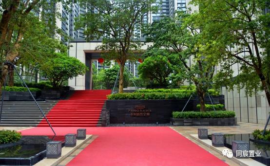 实至名归的学霸加工厂，宝安中学为何受追捧？