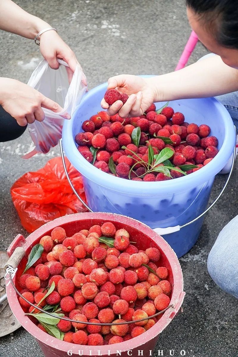 灵川县商贸城,灵川最好的商贸城