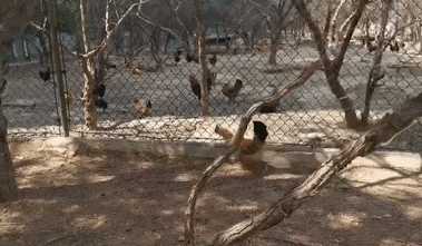 上蓝翔技校有哪些条件,我在蓝翔技校的亲身经历