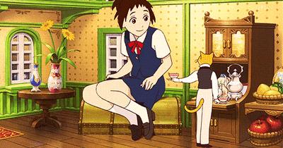 猫的报恩在哪里才看得到,猫的报恩行为