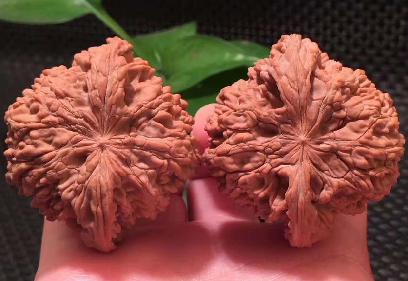 核桃盘红最佳方法,核桃盘到最后是紫红还是大红