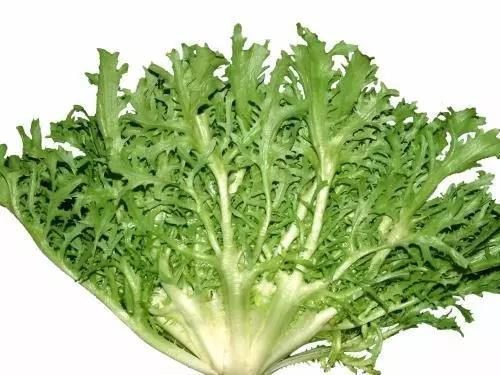 蔬菜沙拉可以用哪些酱料,蔬菜沙拉用的什么沙拉