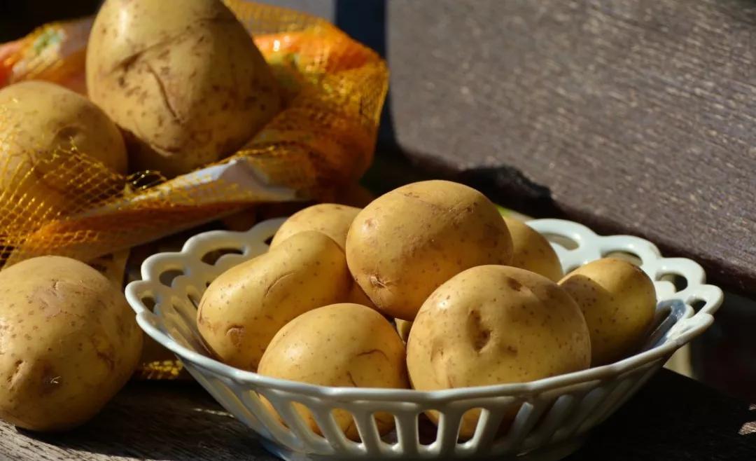 发芽土豆去掉芽炸熟能吃吗,发芽土豆就算削了皮还能吃吗