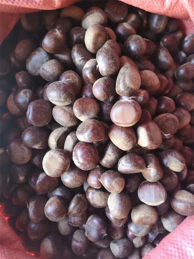 雾灵山内住宿推荐,雾灵山在山上住宿最佳方案