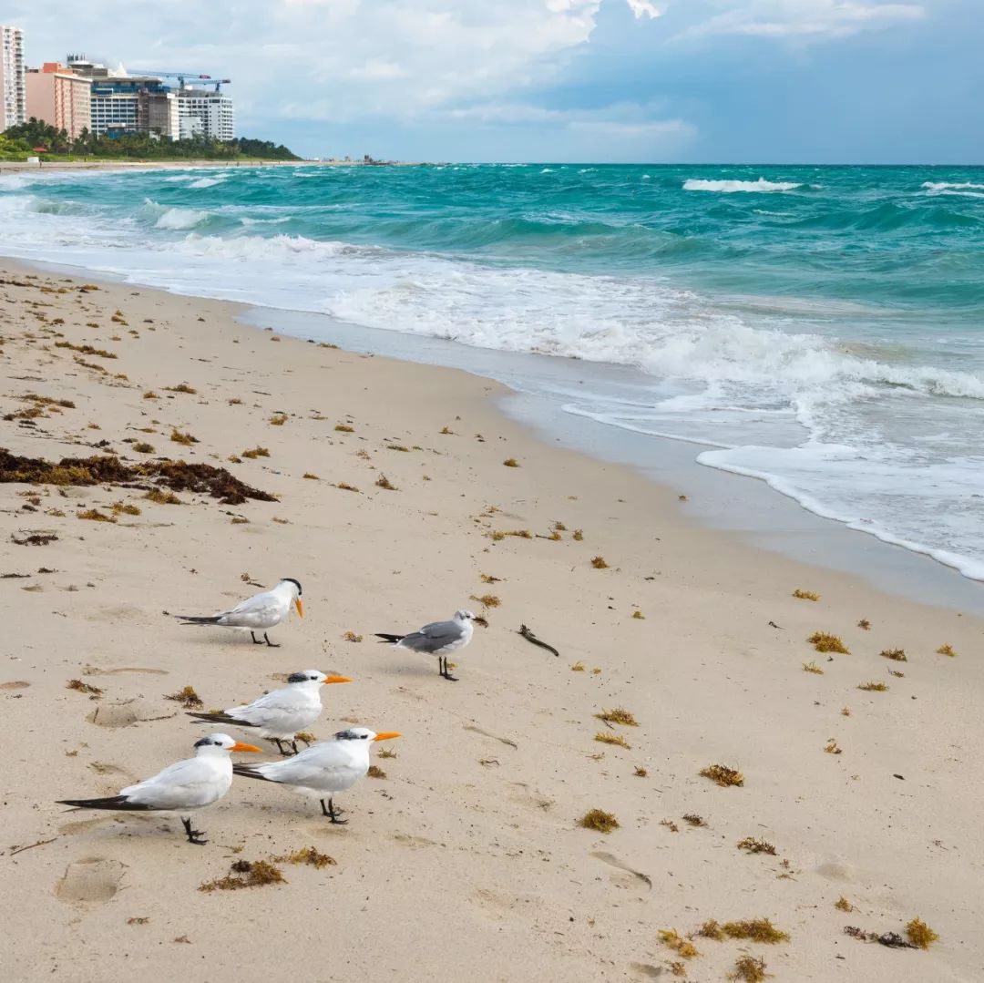 带你去看海最美的海岛,走遍全世界最美海岛
