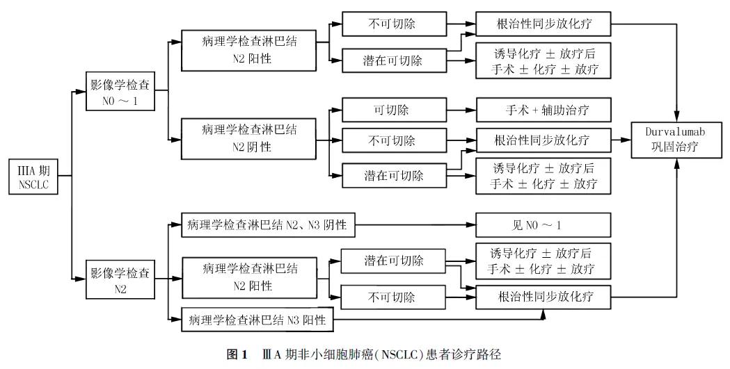 肺癌中哪种肺癌好治疗,肺癌早期治疗的最佳时间