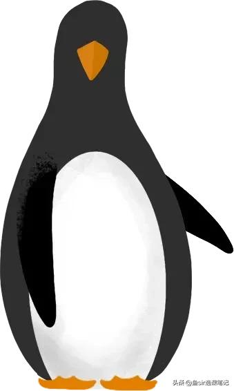 幼小衔接拼音教学测试,幼小衔接拼音教学全套视频app