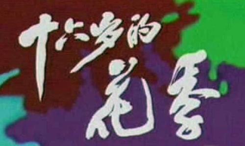 十大年代剧电视剧,九十年代十大真实大案改编电视剧