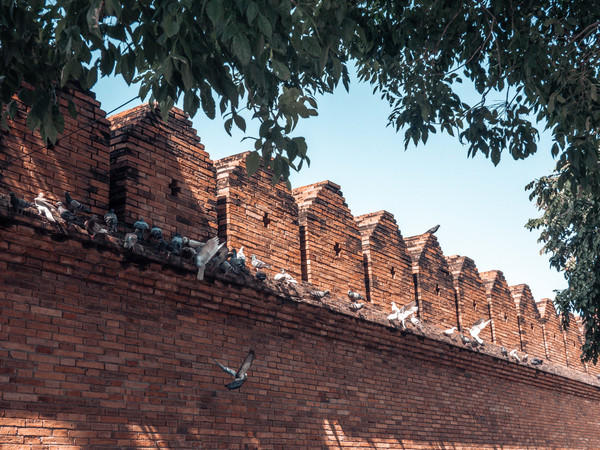 去清迈度假享受片刻的宁静,12月的清迈